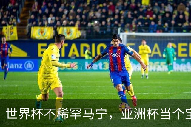 世界杯不稀罕马宁，亚洲杯当个宝！球迷：他吹决赛阿根廷不敢造次
