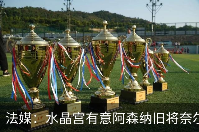 法媒：水晶宫有意阿森纳旧将奈尔斯，他与里昂合同还剩1年