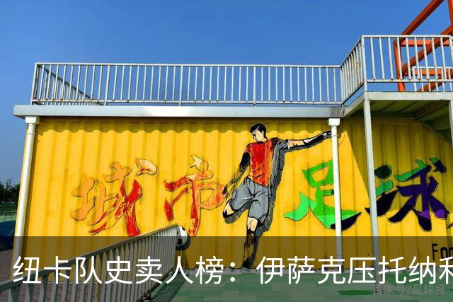 纽卡队史卖人榜：伊萨克压托纳利居首，戈登、安德森列三四